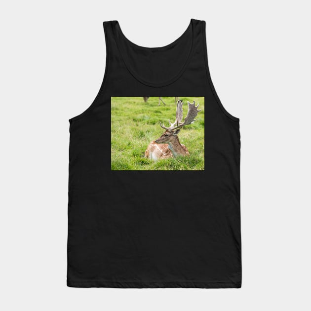 Fallow Deer Tank Top by Russell102